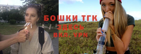 apvp Пересвет