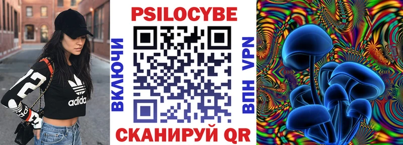 Псилоцибиновые грибы прущие грибы  Осинники 